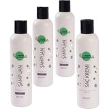 Veganeed Havimlendirici Vegan Şampuan Kuru Saçlar (3 Adet) ve Saç Kremi Greyfurt Aromalı - 3x 250 ml +250 ml