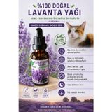 Veganyou %100 Doğal Distülasyon Bitkisel Lavanta Yağı 30 Ml
