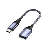 VegGieg Type-C to USB 2.0 OTG Çevirici Dönüştürücü Adaptör