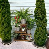 Veher Ahşap (Çam) Ceviz Renk 4 Katlı Bitki Standı, Kilitlenebilir Tekerlekler + Mini Bahçe Seti + My Bead Kokulu Mum 50 Cc Teşhir