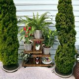 VEHER Ahşap (Çam) CEVİZ Renk 4 Katlı Bitki Standı, Kilitlenebilir Tekerlekler + Mini Bahçe Seti + My Bead Kokulu Mum 50 cc