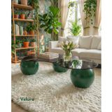 Velura Küre Orta Sehpa - Yeşil- Fasulye - Füme Cam