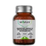 venatura magnezyum l treonat ve koknar ekstresi 90 kapsul A-003254