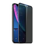 Vendas İphone 11 Pro Davin Serisi Privacy Gizlilik Hayalet Cam Ekran Koruyucu