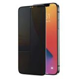 Vendas iPhone 12 Pro Max Hide serisi Privacy tam kaplama hayalet ekran koruyucu