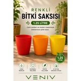 Veniv 3’lü Orkide Saksısı Seti 1.25 Litre – Dekoratif Renkli Plastik Saksı Seti