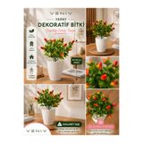 VENİV Yapay Dekoratif Kırmızı Meyve Bitkisi 40-45 cm | Dolomit Taşlı Beyaz Saksılı