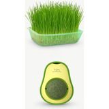 Vera Concept Store Doğal Fileli Kedi Çimi Seti ve Avokado Catnip Nanesi Oyuncağı Kedi Otu 2si 1 Arada