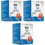 Vera Concept Store Ocean Pulse Balık Yağı 30 Kapsül 3 Adet, Omega 3, K2 ve D3 Vitamini