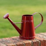 Vera Concept Store Stella 3 Litre Metal Çiçek Bahçe Sulama Kabı – Modern Dekoratif Çok Amaçlı Sulak (Transparan Kırmızı)