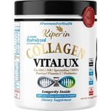 Vera Concept Store Vitalux Hidrolize Kolajen Tozu 10.000 Mg | Nmn, Nr, Fisetin, Spermidin ve Ca-Akg + C Vitamini Içeren Longevity Kolajen Takviyesi | Tip 1 ve Tip 3 Pept