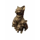 Veranın Fırçası YAVRULU KEDİ