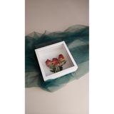 Verda Çerçeve 25X25 Cm Verda Anı Çerçevesi-7 Cm Derinlikli Anı Çerçevesi Gül Kutusu