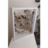 Verda Çerçeve İsimli 40X50 Cm Çift Yönlü Derin Gül Çerçevesi! Gelin Buketi Çerçevesi!
