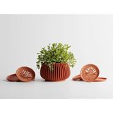 Verdanova Dekoratif Saksı - Kızıl Dikey Çizgili Modern Bitki Saksısı 8 cm - 135x135x80mm