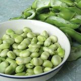 Verimli Erkenci Sakız Bakla Tohumu (50 Gr)