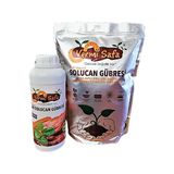 Vermisafa Organik Solucan Gübresi 2kg Katı+1lt Sıvı