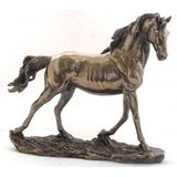 Veronese Biblolar-Wise Atlar-Wıse At Biblo-27X9x23,5 Cm-Jwu75200a1