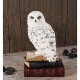 Veronese Collection Kitaplar Üstünde Beyaz Baykuş Figürü 18CM