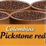 Versele Laga Colombıne Pickstone Red 5+1 6x600 gr Güvercin Mineral Desteği
