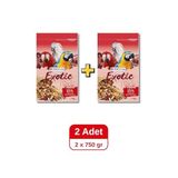 Versele Laga Exotic Nuts Papağan Yemi 750 g x 2 Adet, Kuruyemişli Karışım