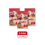 Versele Laga Exotic Nuts Papağan Yemi 750 g x 3 Adet, Kuruyemişli Karışım