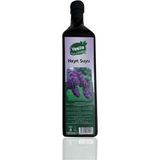 vesile Hayıt Suyu 1 Lt - 1 Adet