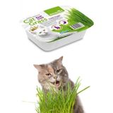 Vestark Royalist Kedi Cimi