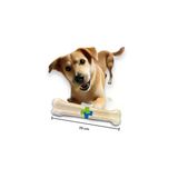 Vet Advice Orta Büyük Boy Köpek Irkı Sütlü Çiğneme Kemiği Dental 200 Gr