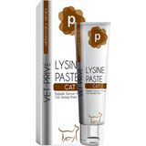 Vet Prive Lysine 100 gr Kedi Vitamin Pastası