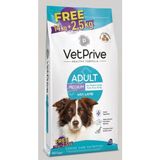 Vet Prive Orta ve Iri Irk Yetişkin Köpek Maması Kuzu Etli Bonus Paket 14+2,5 kg - adet