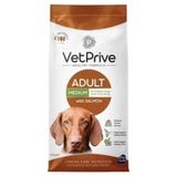 Vet Prive Somonlu Orta Irk 14 kg Yetişkin Köpek Maması