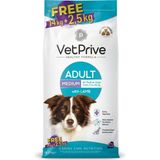 Vet Prıve Vet Prive Orta ve Iri Irk Yetişkin Köpek Maması Kuzu Etli 14+2,5 kg