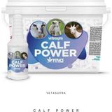 Vetasupra Calf Power Buzağı-kuzu Ve Oğlak Için Vitamin Katkılı Hayvan Yem Katkısı 500 Gr