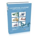 Veteriner Anatomi Konu Anlatımı ve Atlas - Kolektif
