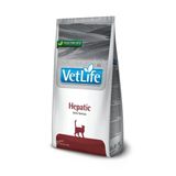 Vetlife Adult Cat Hepatic Diyet Yetişkin Kedi Maması 10 Kg