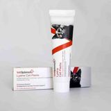 Vetoptimize Lysine Cat Paste (Kedilerin Bağışıklık, Solunum ve Göz Fonksiyonunu Desteği) 100 ml