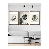 Vetro 21x30 cm Ceviz Design Monstera ve Deniz Kabukları