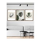 Vetro 30x40 cm Ceviz Design Monstera ve Deniz Kabukları