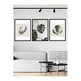 Vetro 30x40 cm Siyah Design Monstera ve Deniz Kabukları