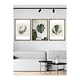 Vetro 40x50 cm Ceviz Design Monstera ve Deniz Kabukları