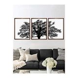 Vetro Design 3 Parça Ağaç 21x30 cm Ceviz Çerçeveli Tablo