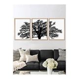 Vetro Design 3 Parça Ağaç 21x30 cm Natural Çerçeveli Tablo