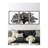 Vetro Design 3 Parça Ağaç 30x40 cm Ceviz Çerçeveli Tablo