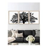Vetro Design 3 Parça Ağaç 30x40 cm Natural Çerçeveli Tablo
