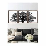 Vetro Design 3 Parça Ağaç 40x50 cm Ceviz Çerçeveli Tablo
