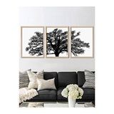 Vetro Design 3 Parça Ağaç 40x50 cm Natural Çerçeveli Tablo