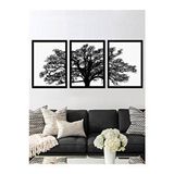 Vetro Design 3 Parça Ağaç 40x50 cm Siyah Çerçeveli Tablo