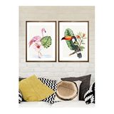 Vetro Design Tropikal Hayvanlar 21x30 cm Ceviz Çerçeveli Tablo