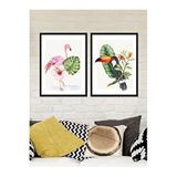 Vetro Design Tropikal Hayvanlar 30x40 cm Siyah Çerçeveli Tablo